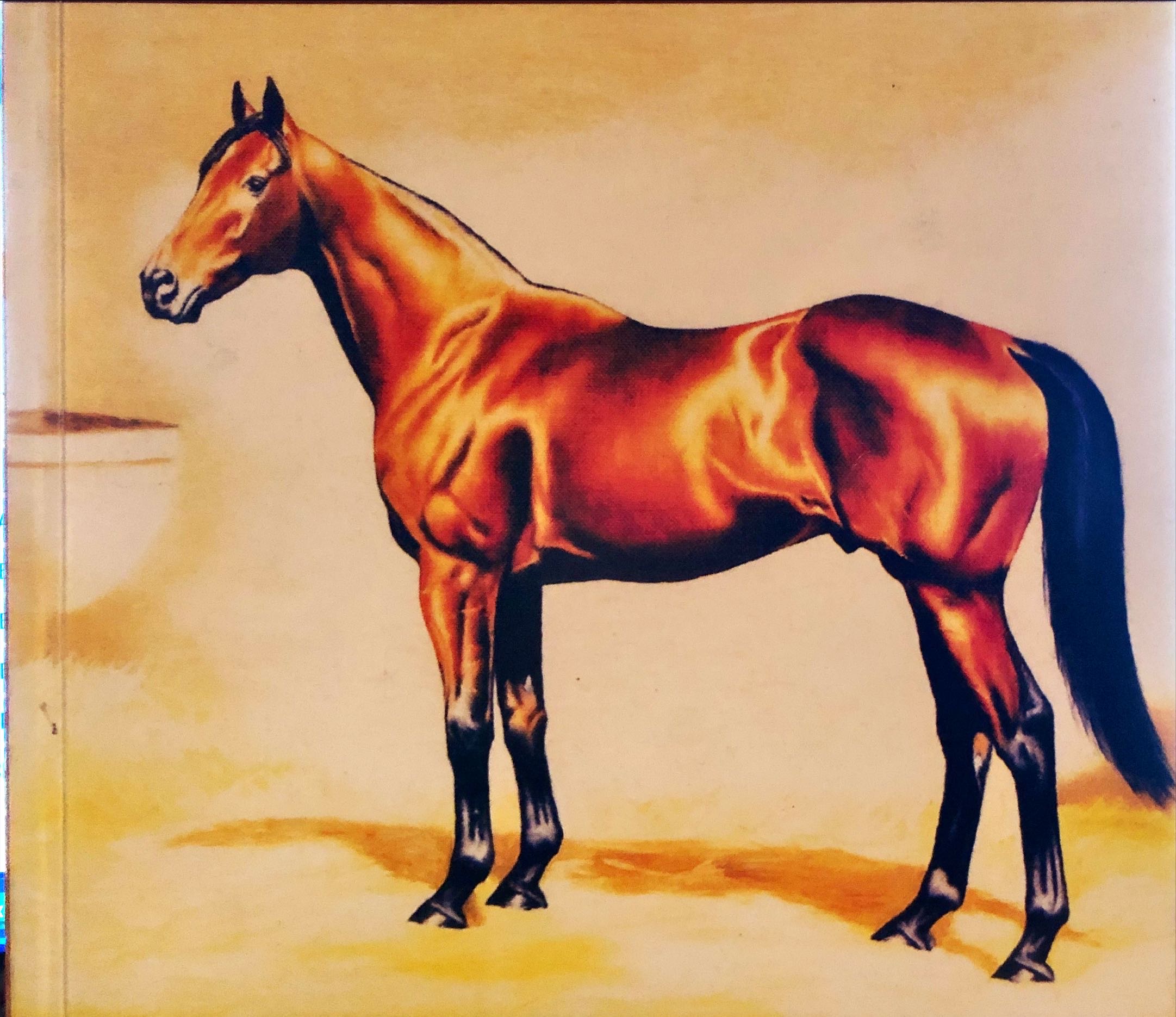 The Hassall Family and the Melbourne Cup